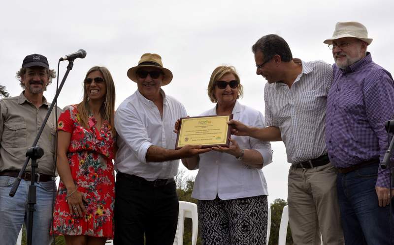 rocha lanz2019 2