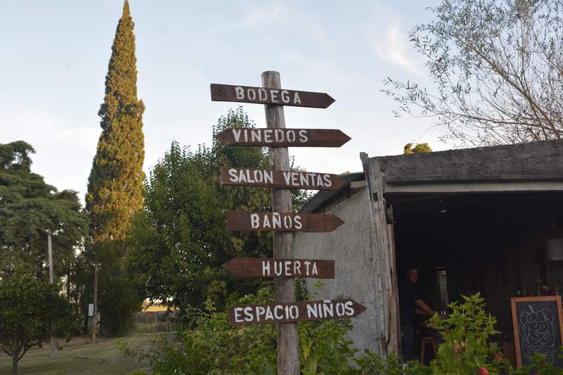 bodega rovere 1