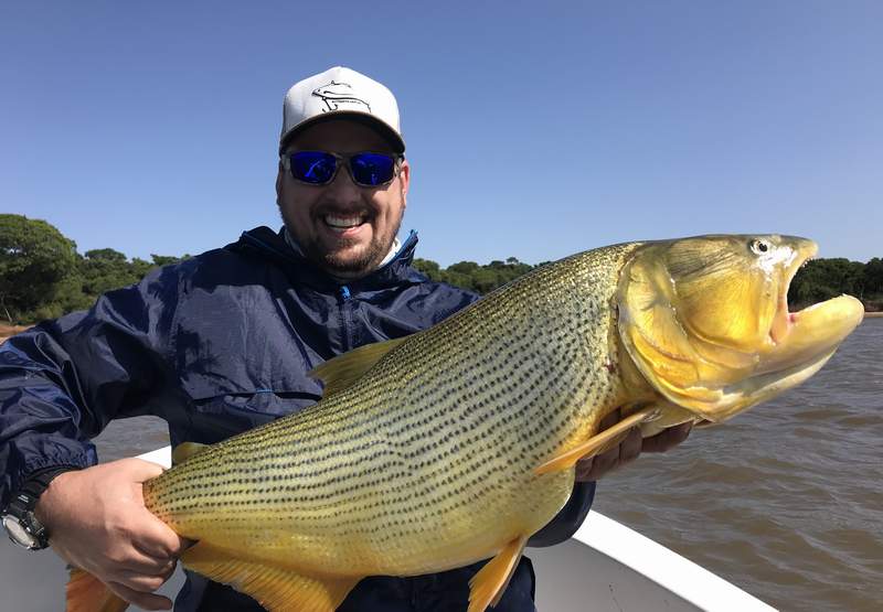 dorado
