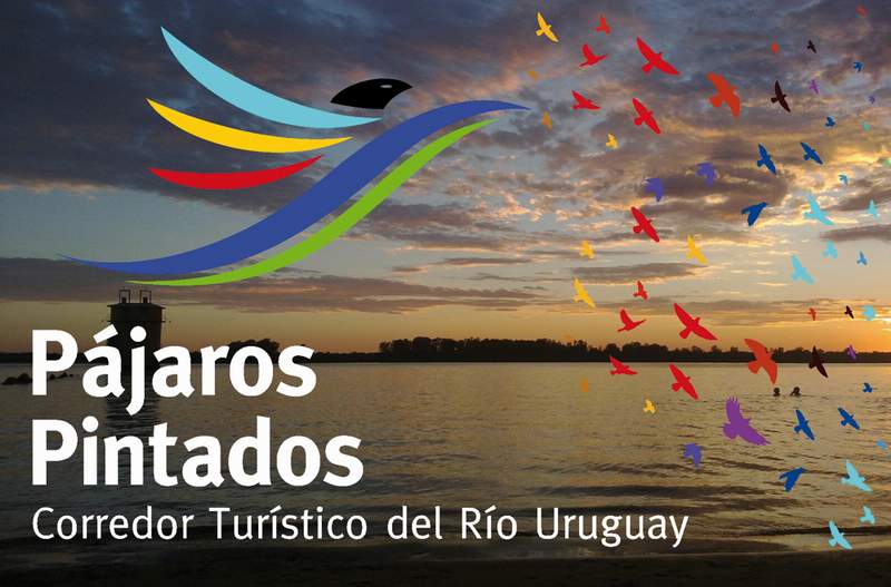 Corredor pajaros