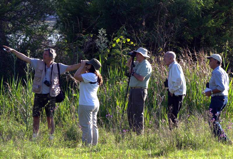 birdwatchingSalto 1