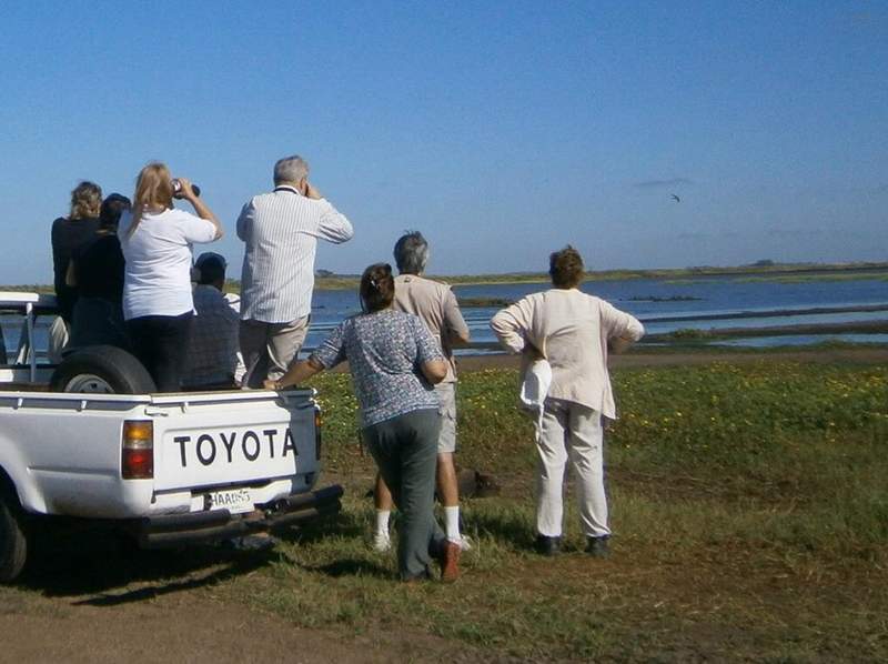 birdwatchingSalto 3
