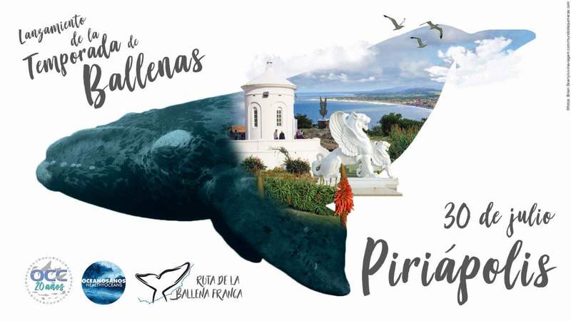 BALLENAS