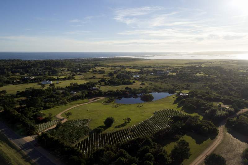 uruguay