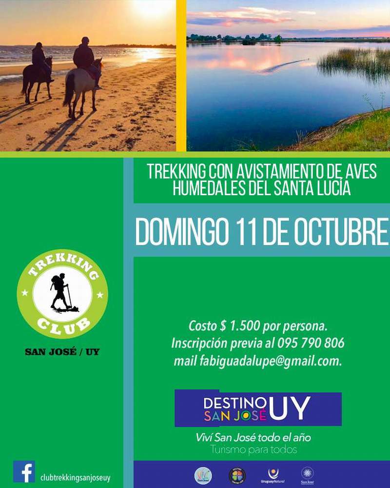 SAN JOSE DOMINGO 11