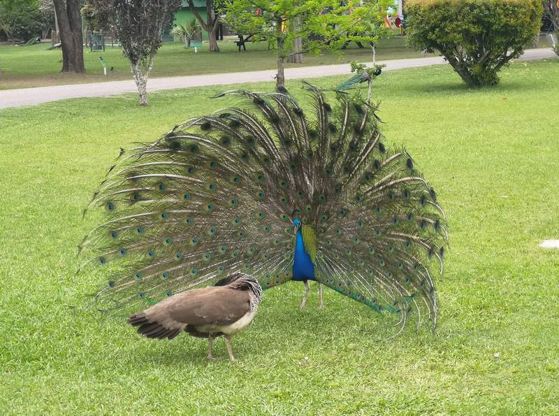 ecoparque 5
