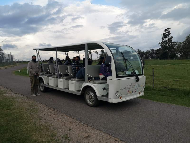 ecoparque 9