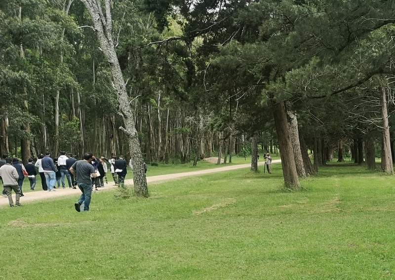 grutas camino
