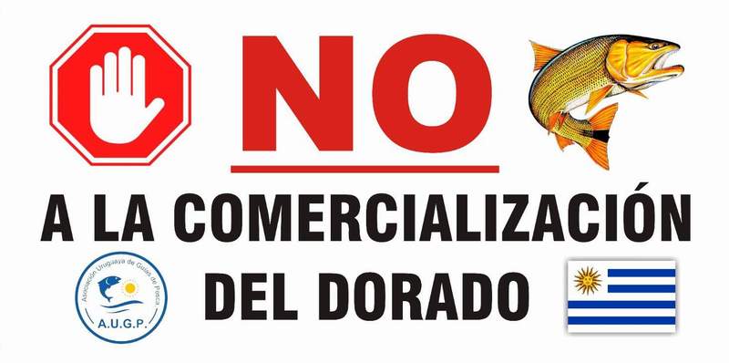 Dorado