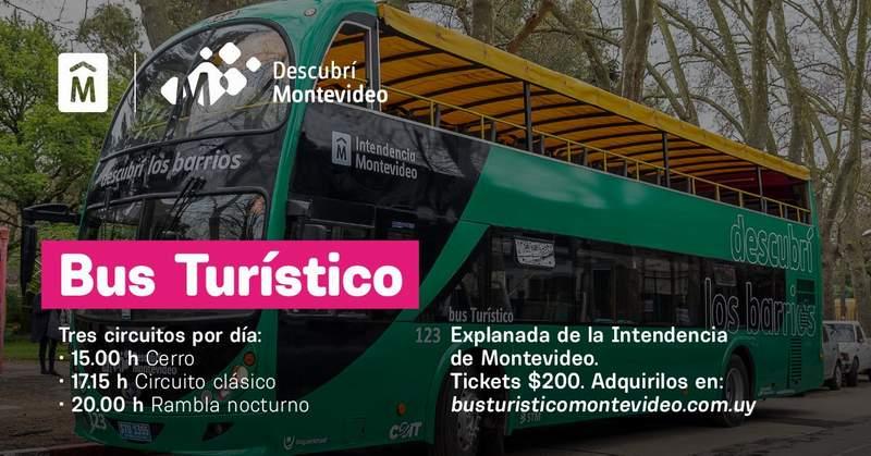 bus turistico
