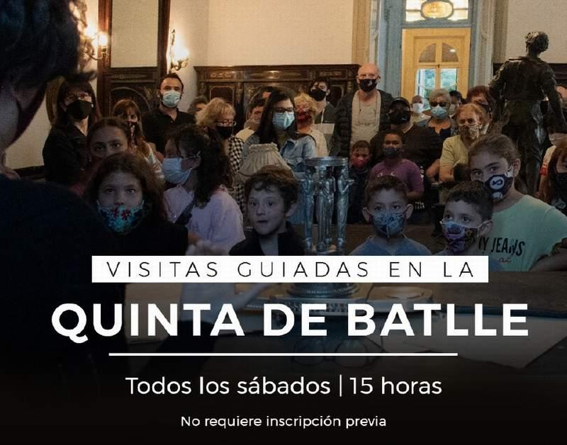 MVD quinta