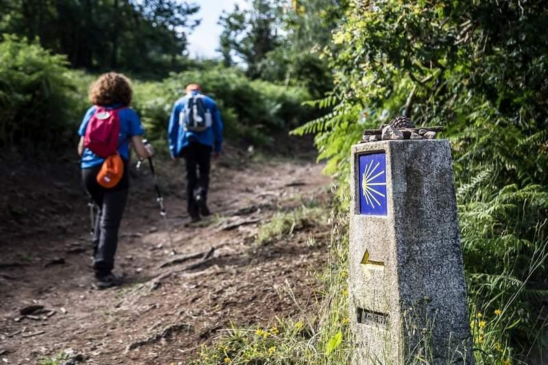 Camino