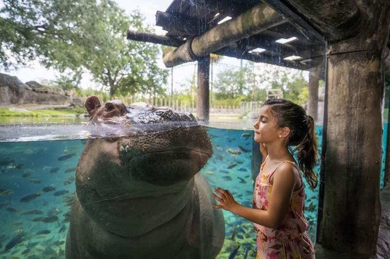 seaworld 1