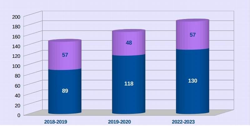 Remo cruceros chart