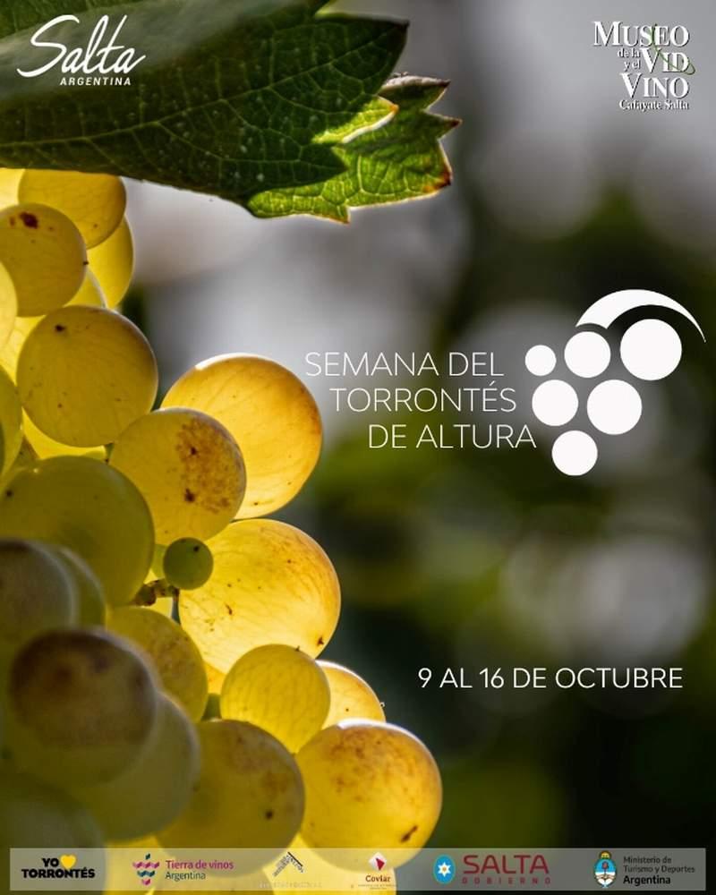 salta vino 02