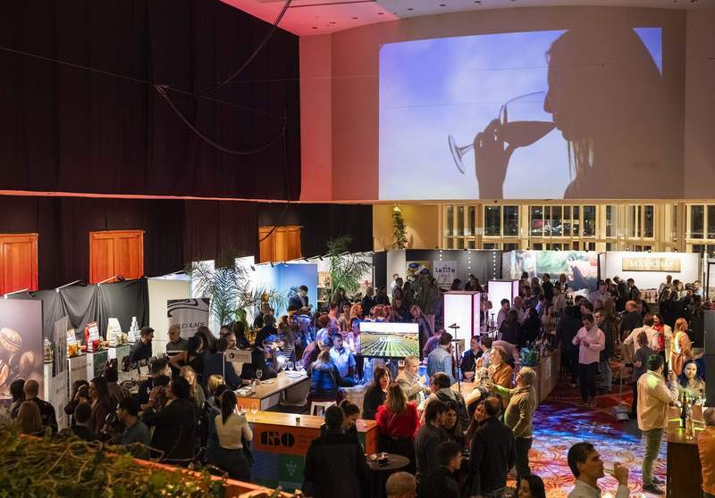 SALON DEL VINO 1