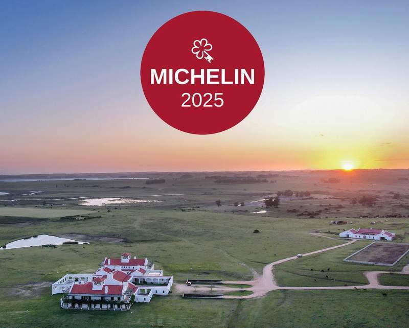 VIK Michelin