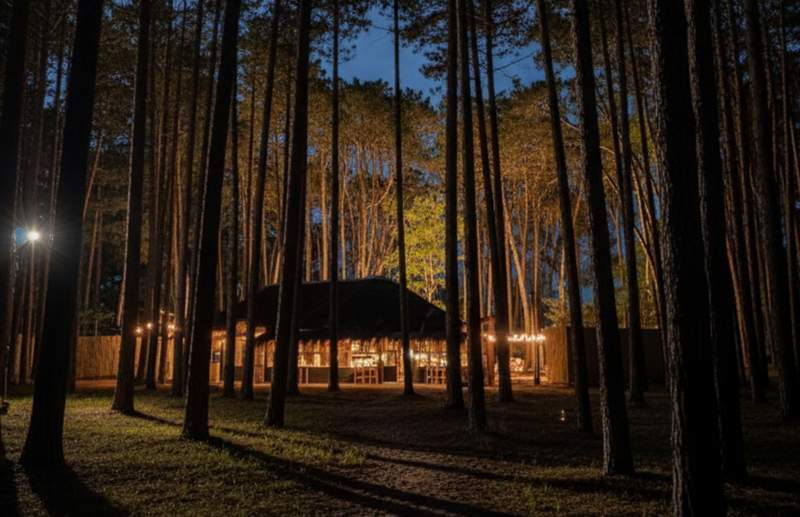 Soto Bosque el nuevo refugio en 2