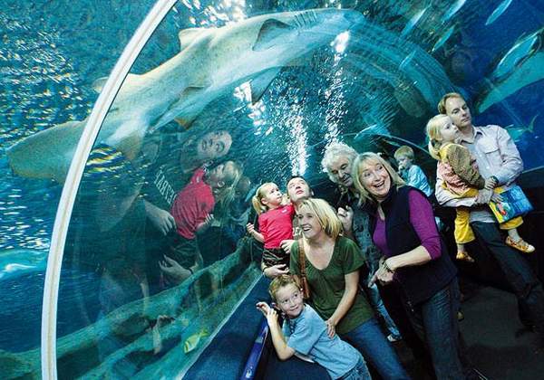 seaworld_acuario