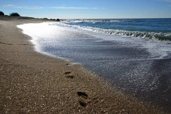 sacramento_La_Paloma_Playa_del_Faro