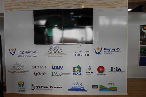 expointer2014