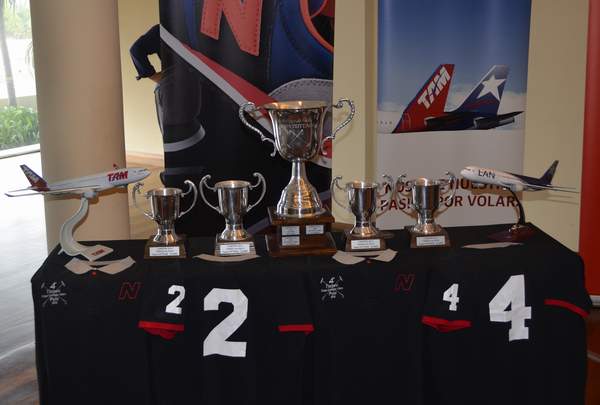 cottage_polo_2014