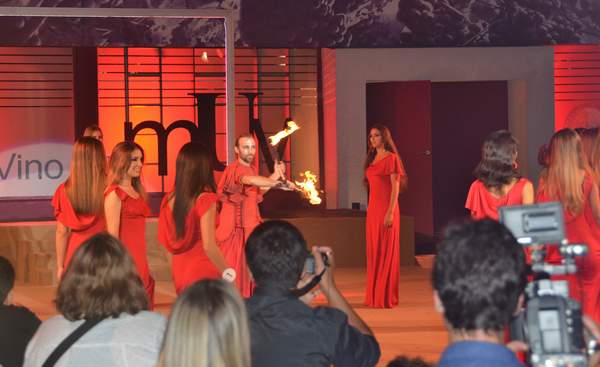 canelones_vendimia2013_5