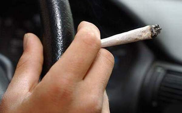 manejar_marihuana