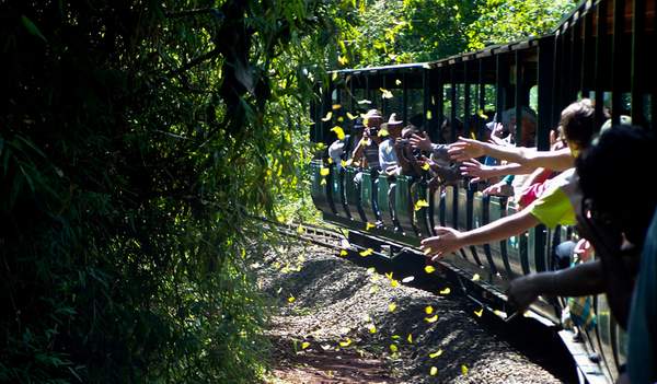 tren1