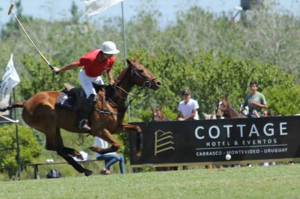 cottage_polo_2