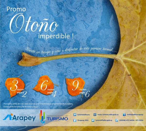 salto_promo