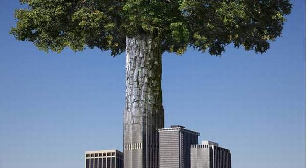 CS_ciudades_sostenibles