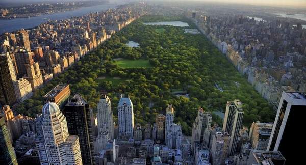 CS_nueva_york