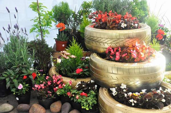 atlantida_jardin_6
