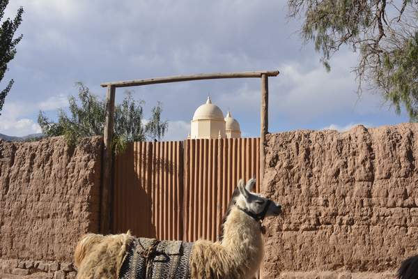 jujuy_head