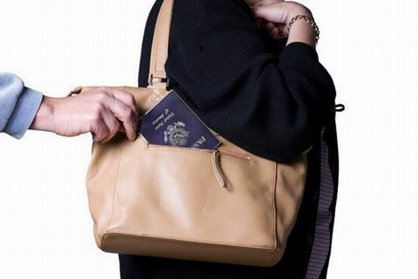 pasaporte_robo