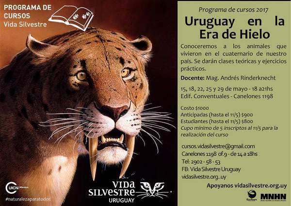 vida_silvestre
