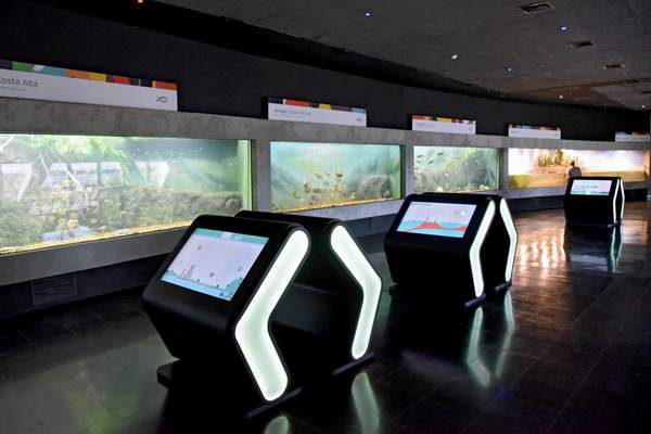 rosarioacuario
