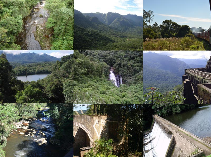 collage-sierra-do-mar