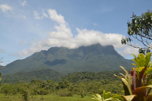 paisaje-serra-do-mar